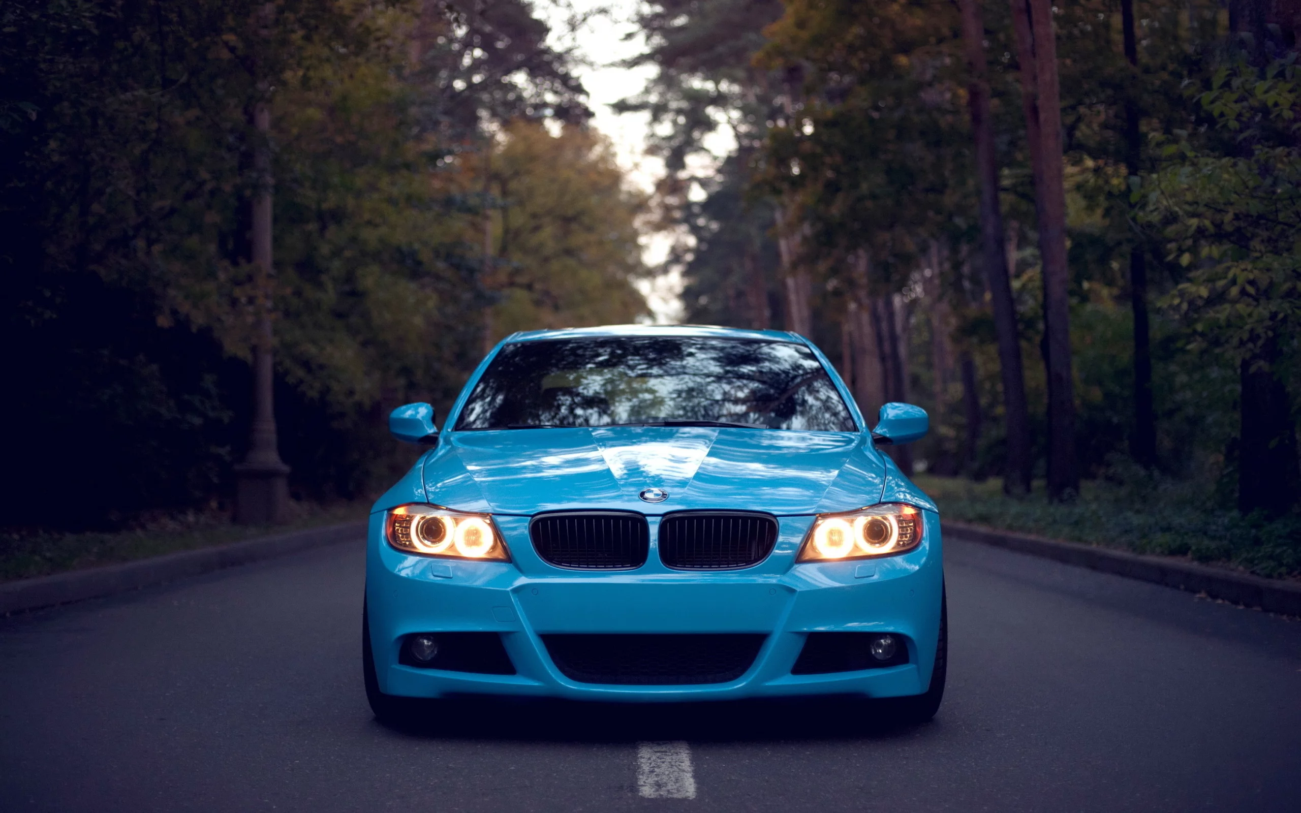 бмв, bmw, 3 series, дорога, front, лес, свет фар, голубая