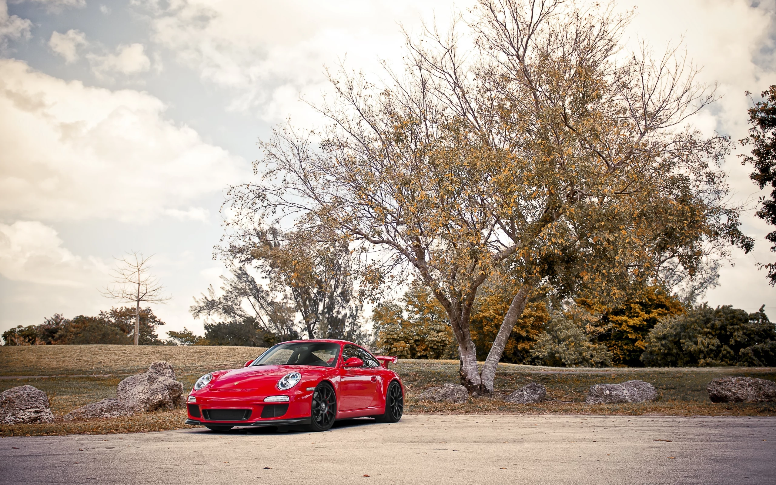 911, дерево, небо, 997, облака, gt3, гт3, красный, валуны, порше, porsche
