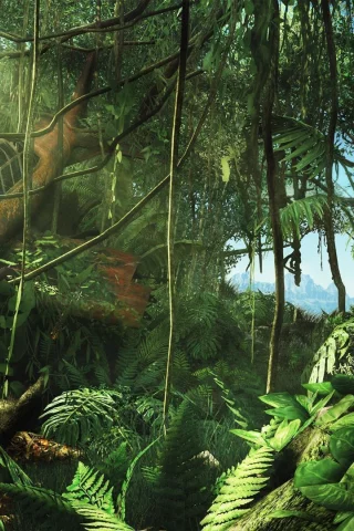 самолет, game, заросли, крушение, игра, джунгли, far cry 3