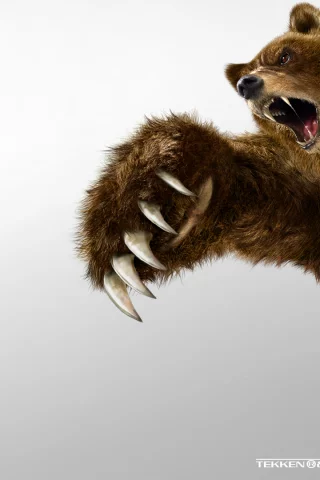 bear, games, tekken