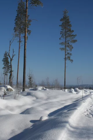 блеск, снег, зима, дорога, мороз