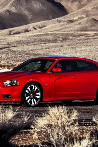 muscle car, кусты, charger, dodge, дорога, srt8, чарджер, додж, мускул кар, красный, срт8, холмы