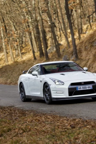 gt-r egoist, nissan, белый, авто, тачки, леса, деревья, дерево, ниссаны, дорога