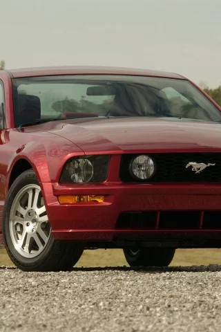 gt, ford, mustang