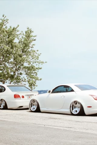 white, lexus, тюнинг, небо, белые, &, дерево, sc, lexus, gs300