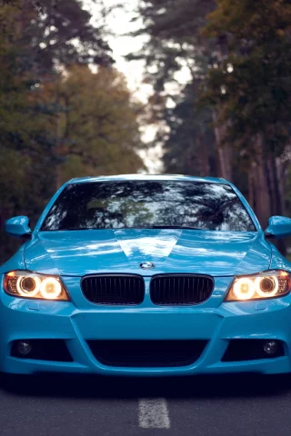 бмв, bmw, 3 series, дорога, front, лес, свет фар, голубая