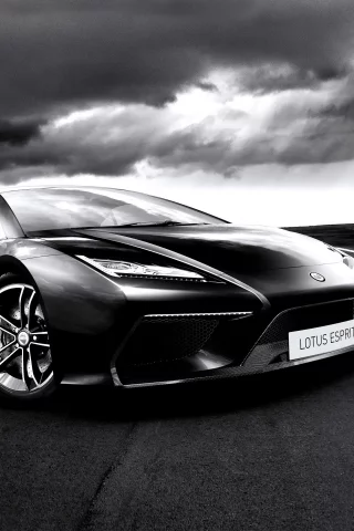 concept, lotus, esprit