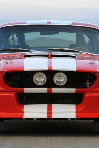 shelby, mustang, gt500cr