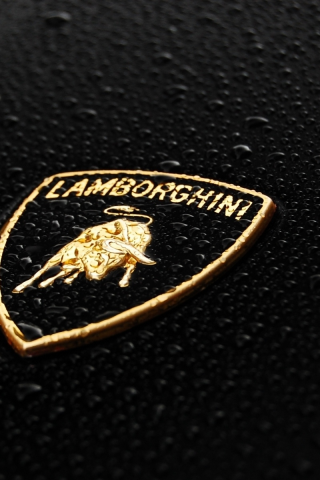 ламборгини, lamborghini, шильдик, бык, ламборджини, капли, ламбо, значок, эмблема, чёрный