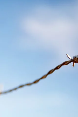 sky, focus, 2560x1600, macro, фокус, небо, колючая проволока, barbed wire, макро