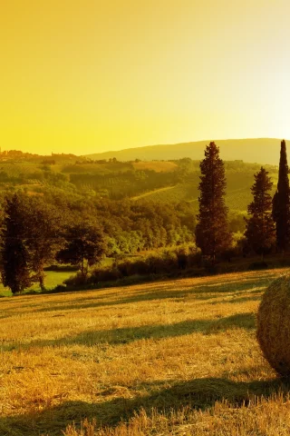 деревья, sunset in village, стог, солнце, закат, сено, поле, небо, золотое