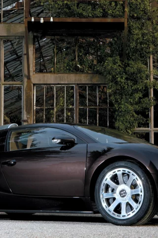 стиль, оранжерея, veyron, bugatti