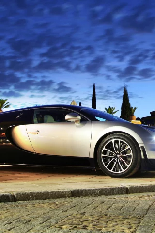 ss, растения, veyron, bugatti, фары, вечер
