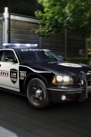 защита, передок, charger, мигалка, чарджер, деревья, dodge, ночь, police, pursuit, полицая, додж, здание