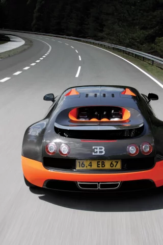 деревья, road, trees, машина, скорость, car, дорога, speed, 3000x2000, bugatti veyron