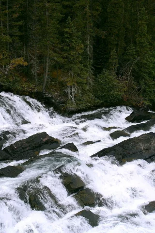 waterfall, природа, вода, водопад, обои, деревья
