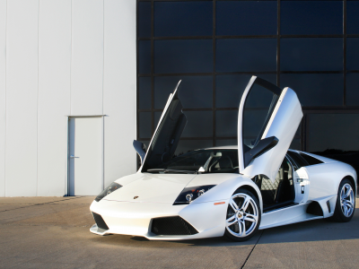 coupe, lp640, 2009, balloon white, murcielago, doors up, lamborghini