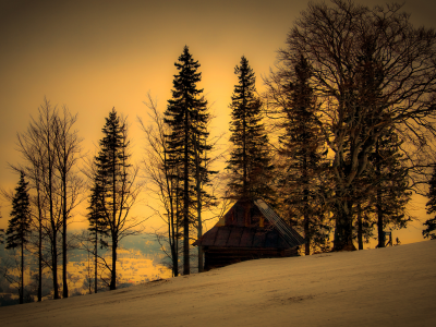 зима, дом, деревья, природа