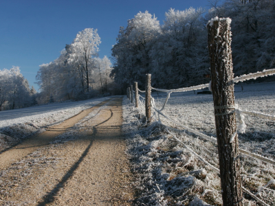 дорога, иней, деревья, снег, зима, природа