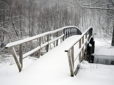 парк, мост, snowbound bridge, деревья, заснеженный, холод, зима