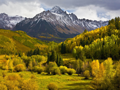 горы, лес, осень, деревья