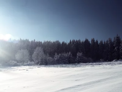 снег, ели, зима, деревья, елки, мороз, свет, artush, лес, солнце
