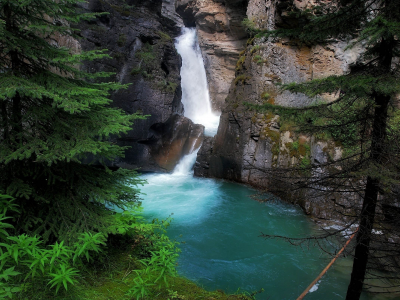 ель, водопад, скала, озеро