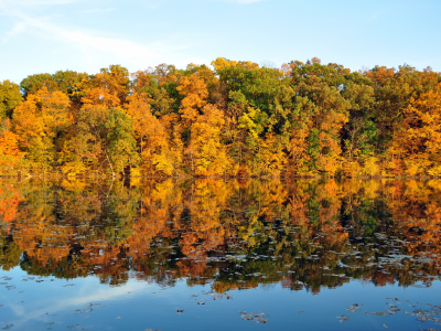 осень, листья, вода. отражение