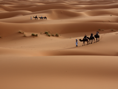 песок, верблюды, дюны, люди, пески, туристы, пустыня, барханы, прогулка