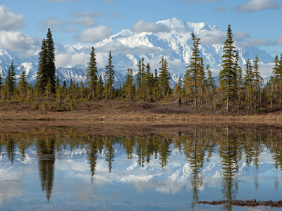 лес, озеро, national park, grand teton, горы