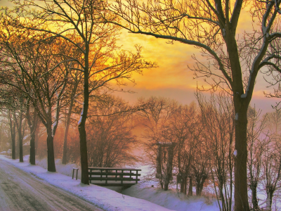 закат, дорога, природа, зима