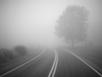 дерево, поворот, дорога, туман