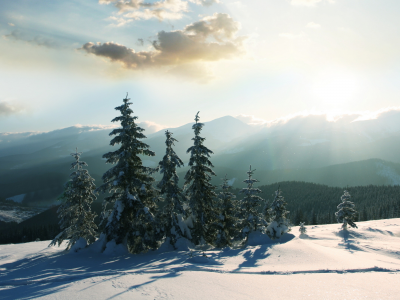холод, снег, утро, солнце, дерево, природа, пейзажи, мороз, горы, зима, зимние обои, деревья