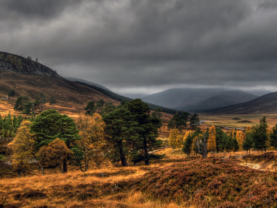 national, nature, geographic, autumn