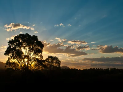австралия, деревья, деревья, australia, лучи, облака, солнце, лес, лучи солнца, горы, закат, вечер, дерево