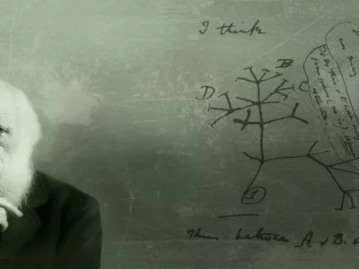 схемы, ученый, теория эволюции, charles darwin, чарльз дарвин, надписи