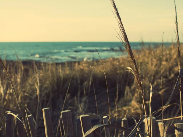 beach, побережье, море, france