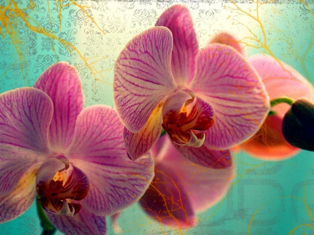 цветок, цветы, flowers, макро, бутон