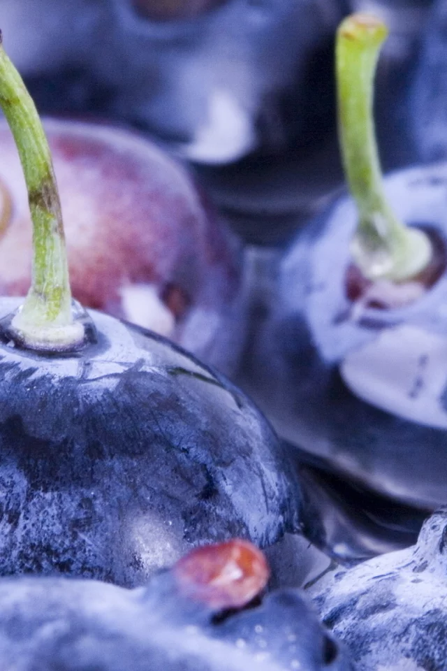 вода, water, черника, ягоды, berries, blueberry, макро, macro, 1920x1080