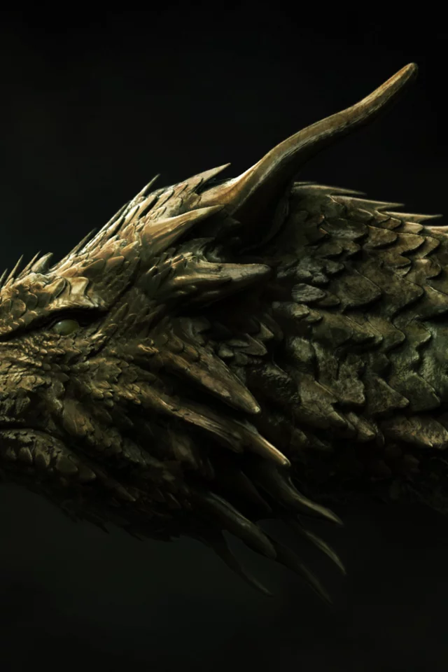 dragon, head, concept