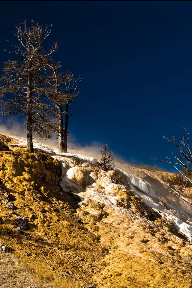 mammoth springs, вайоминг, сша