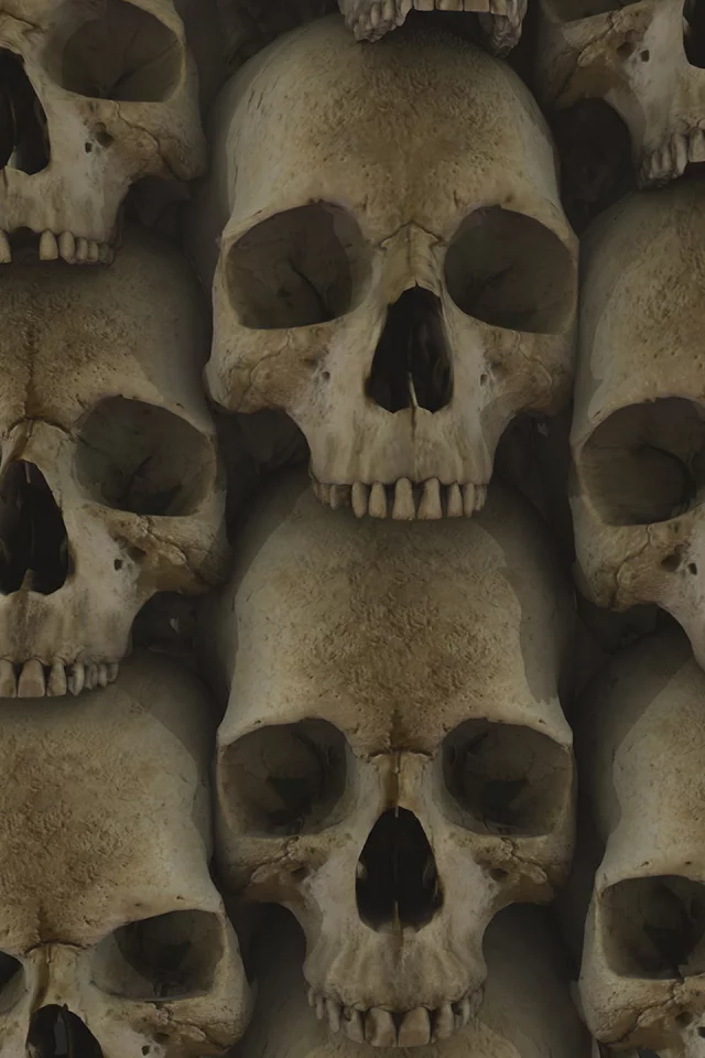 текстура, череп, skull