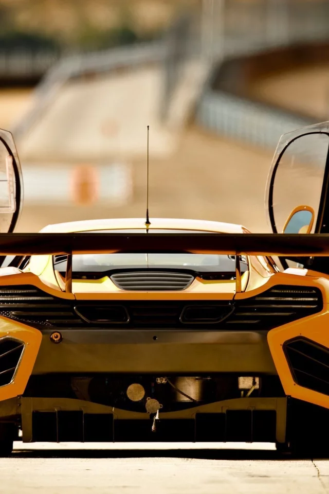 вид сзади, открытые двери, mp4-12c, mclaren