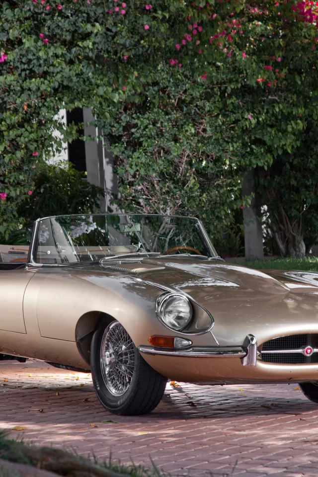 ягуар, jaguar, e-type, классика, красивая машина, кабриолет, тип-е, передок, дерево, е-тайп