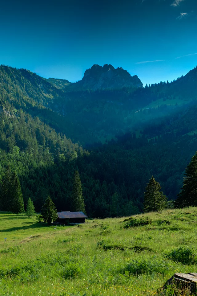 деревья, зелень, небо, landscape, горы, 2560x1600, nature, mountains, grass, greenery, природа, лес, пейзаж, trees, forest, трава, дом, house, sky