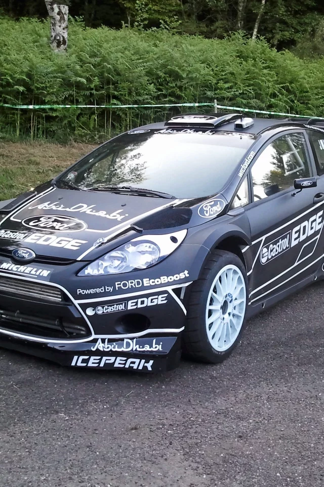 wrc, rally, fiesta rs, черный, black, ford