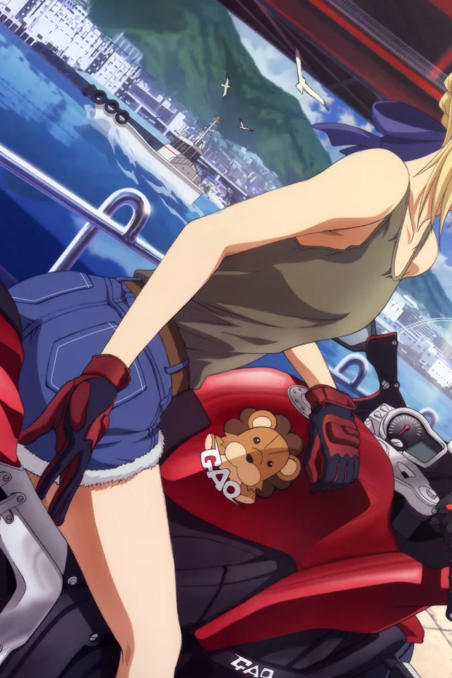 saber, fate stay night, мотоцикл, девушка, взгляд, река, bike