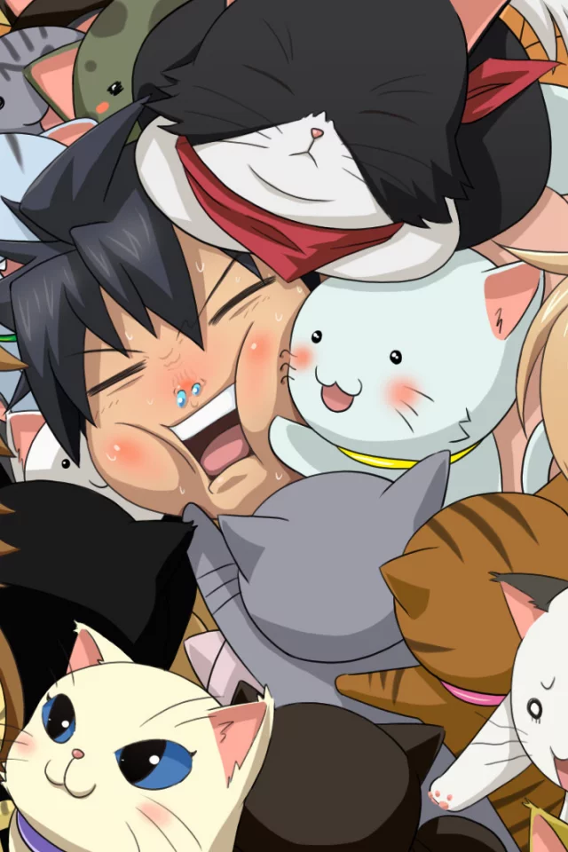 kousaka junpei, много кошек, mizuno kaede, кошки, sumiyoshi kanako, nyan koi