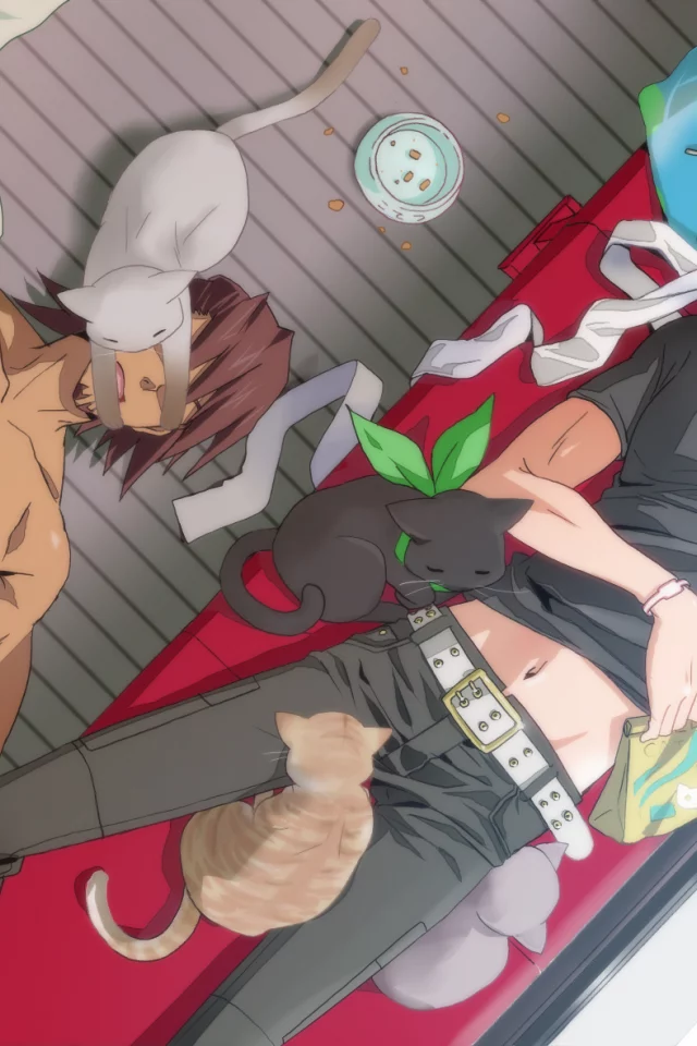 кошки, kaburagi t kotetsu, комната, диван, спят, tiger & bunny, парни, barnaby brooks jr, котэ