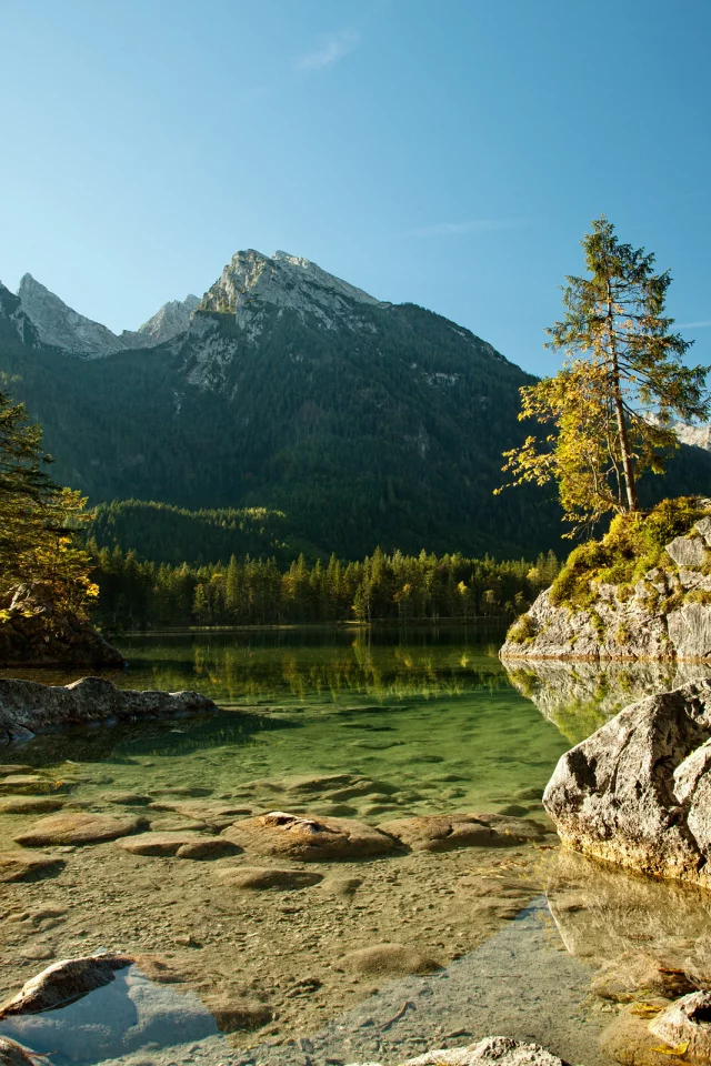 вода, спокойствие, зелень